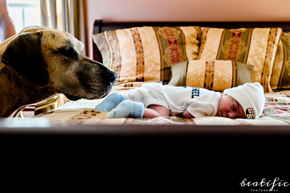 SugarHillNewborn_0008